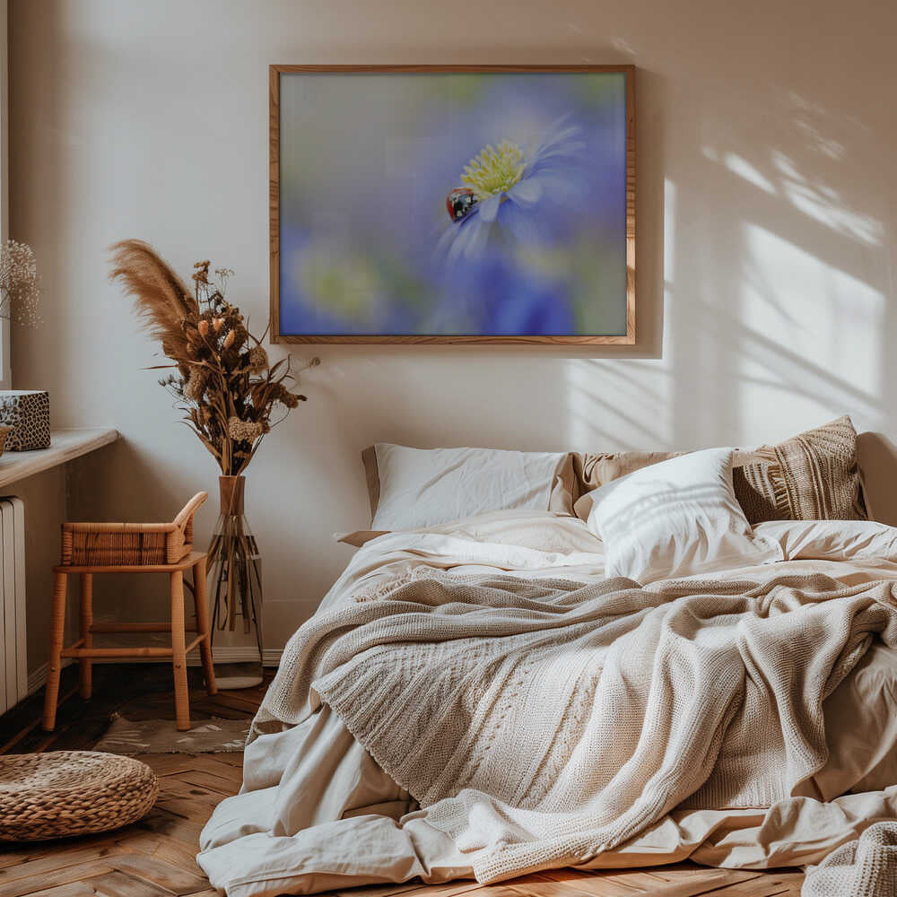 Serene Ladybug Flower - Floral Photographic Stretched Canvas Poster or Fine Art Print