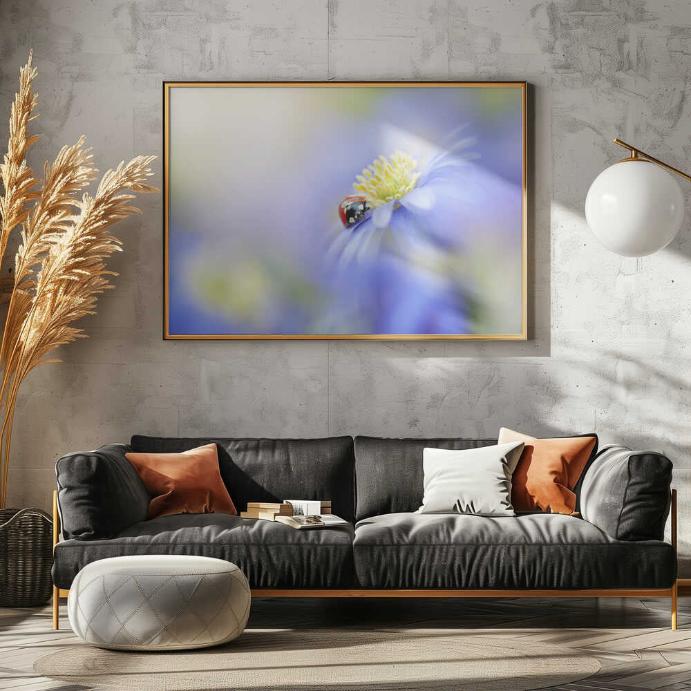 Serene Ladybug Flower - Floral Photographic Stretched Canvas Poster or Fine Art Print