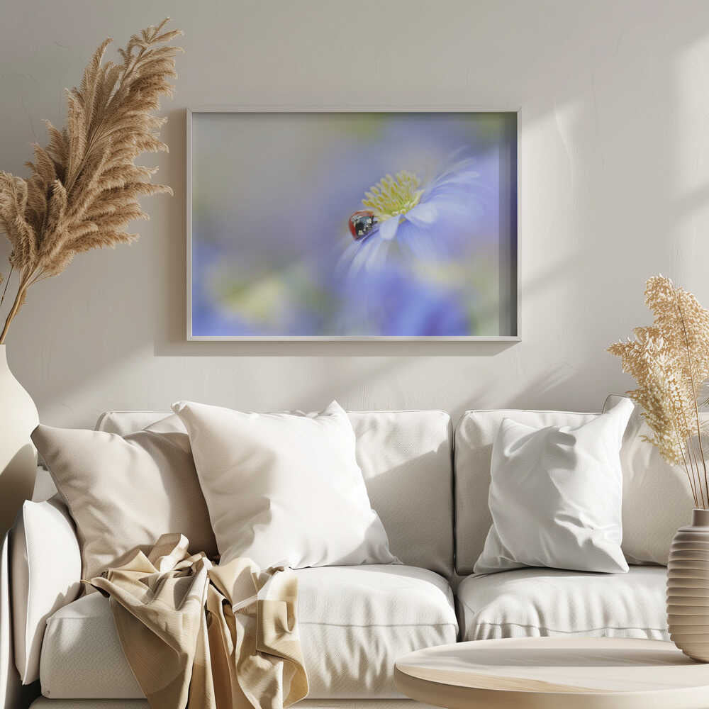Serene Ladybug Flower - Floral Photographic Stretched Canvas Poster or Fine Art Print