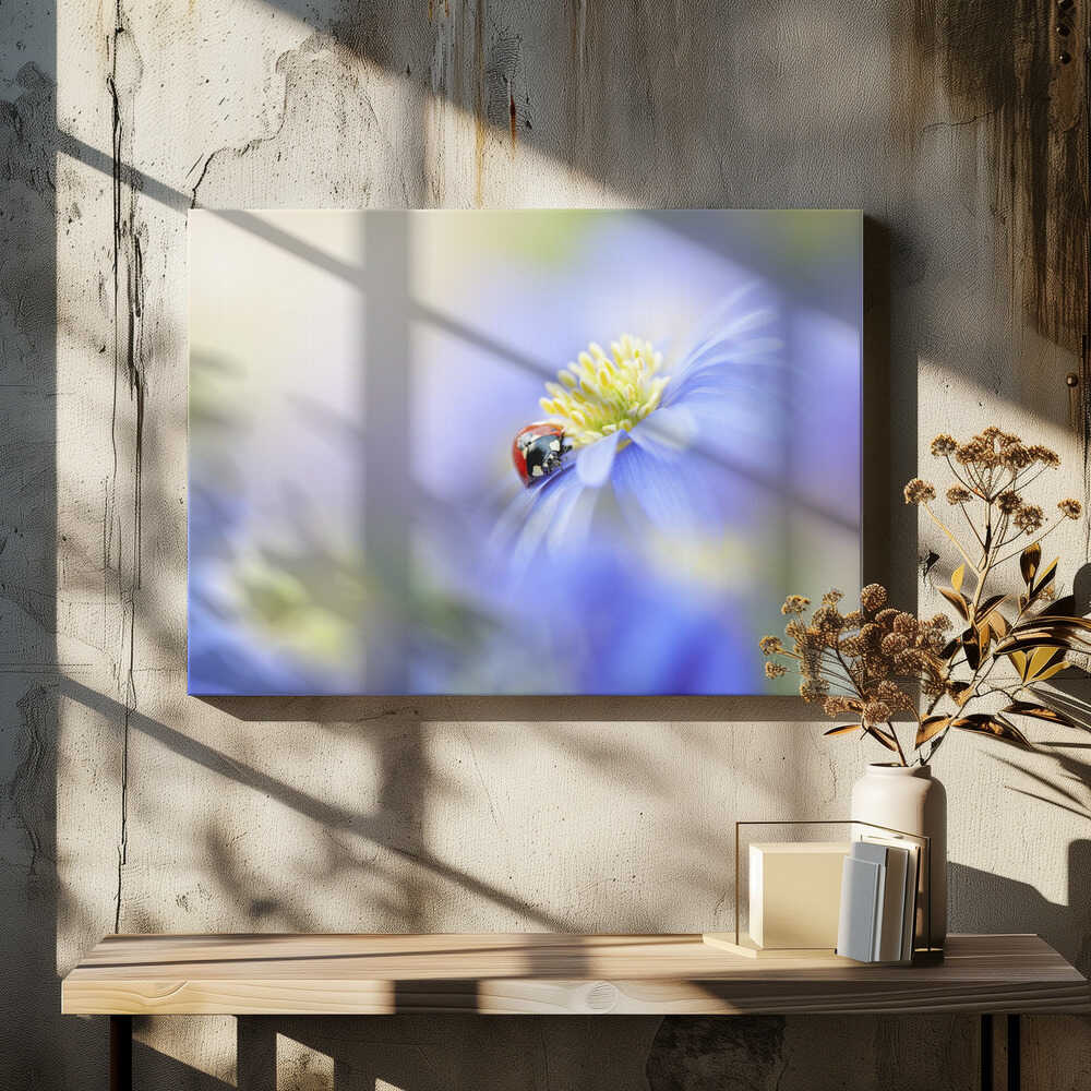 Serene Ladybug Flower - Floral Photographic Stretched Canvas Poster or Fine Art Print