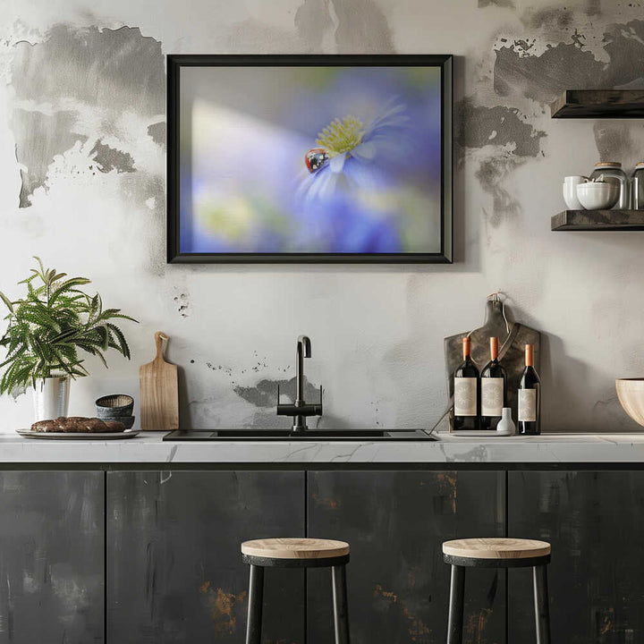 Serene Ladybug Flower - Floral Photographic Stretched Canvas Poster or Fine Art Print
