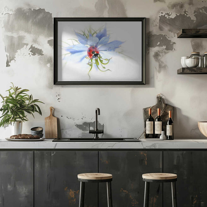 Serene Ladybug on Blue Flower - Floral Photographic Stretched Canvas Poster or Fine Art Print
