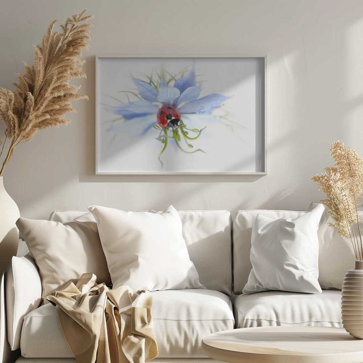Serene Ladybug on Blue Flower - Floral Photographic Stretched Canvas Poster or Fine Art Print