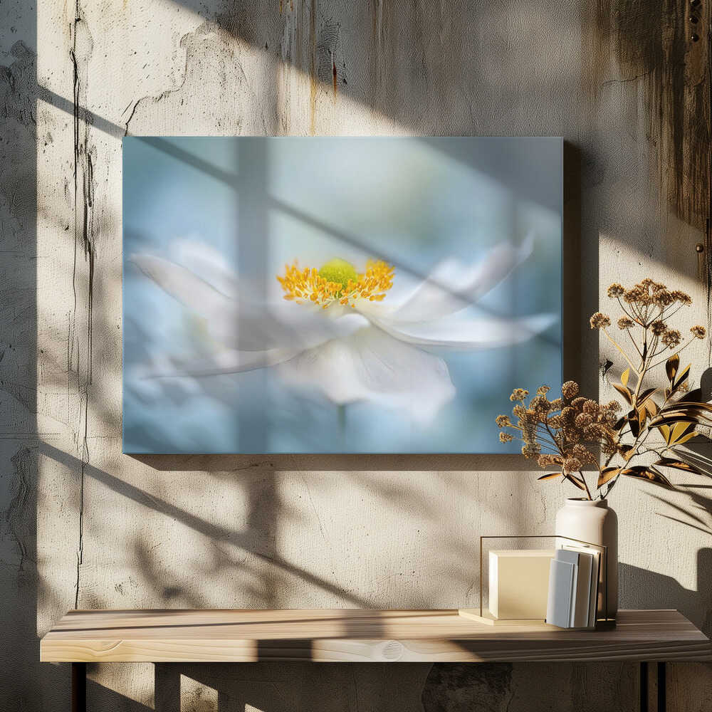 Serene White Bloom - Floral Photographic Stretched Canvas Poster or Fine Art Print
