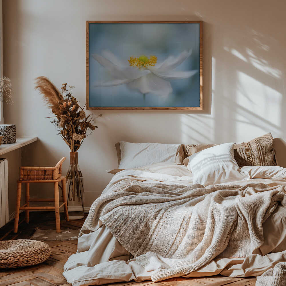 Serene White Bloom - Floral Photographic Stretched Canvas Poster or Fine Art Print