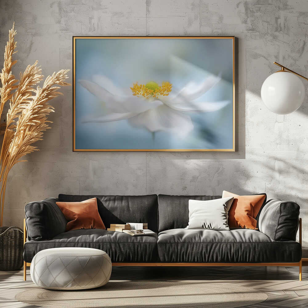 Serene White Bloom - Floral Photographic Stretched Canvas Poster or Fine Art Print
