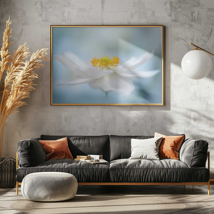 Serene White Bloom - Floral Photographic Stretched Canvas Poster or Fine Art Print