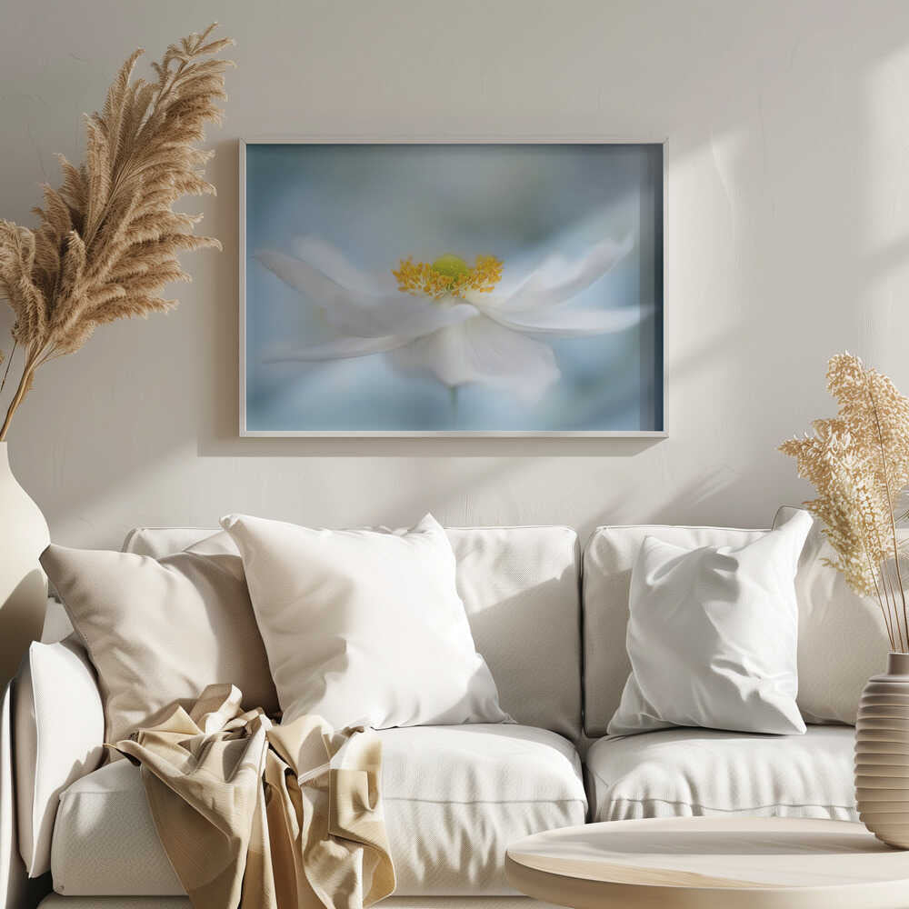 Serene White Bloom - Floral Photographic Stretched Canvas Poster or Fine Art Print