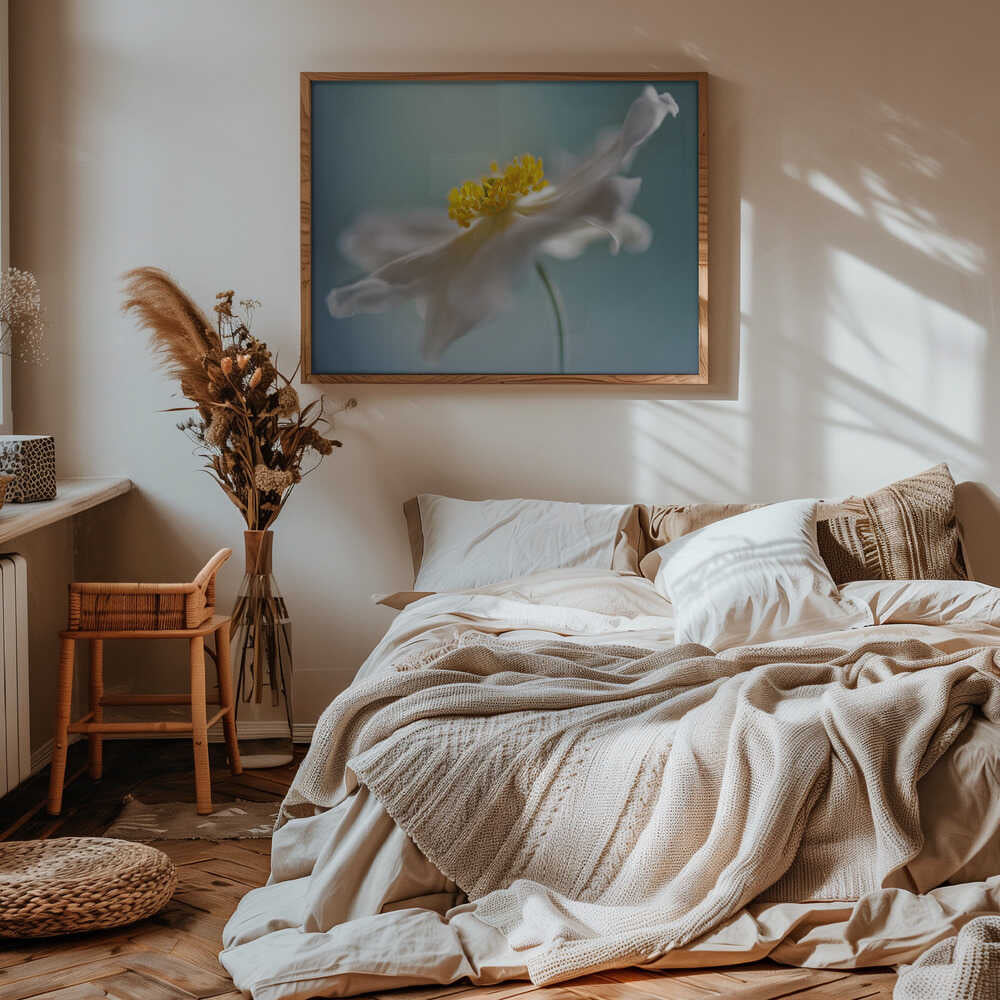 Serene White Petal Bloom - Floral Photographic Stretched Canvas Poster or Fine Art Print