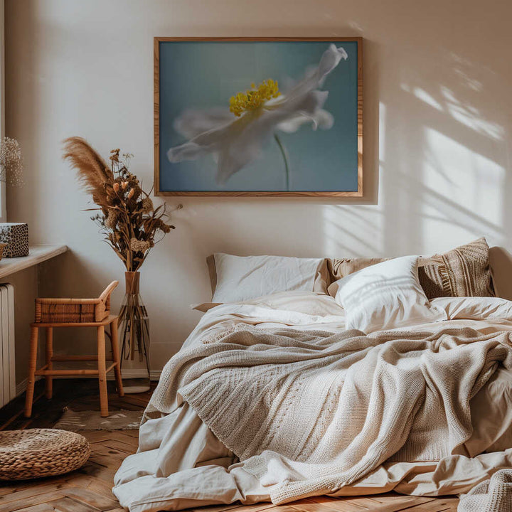 Serene White Petal Bloom - Floral Photographic Stretched Canvas Poster or Fine Art Print