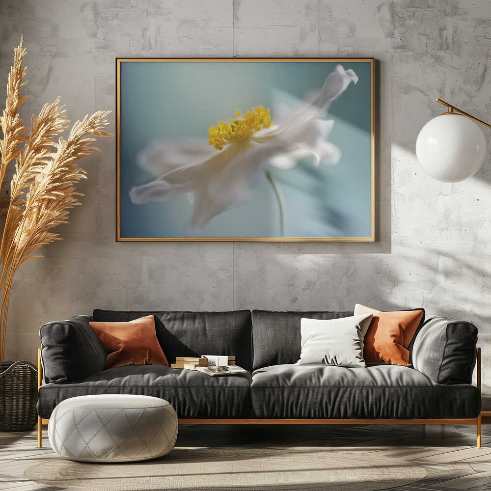 Serene White Petal Bloom - Floral Photographic Stretched Canvas Poster or Fine Art Print