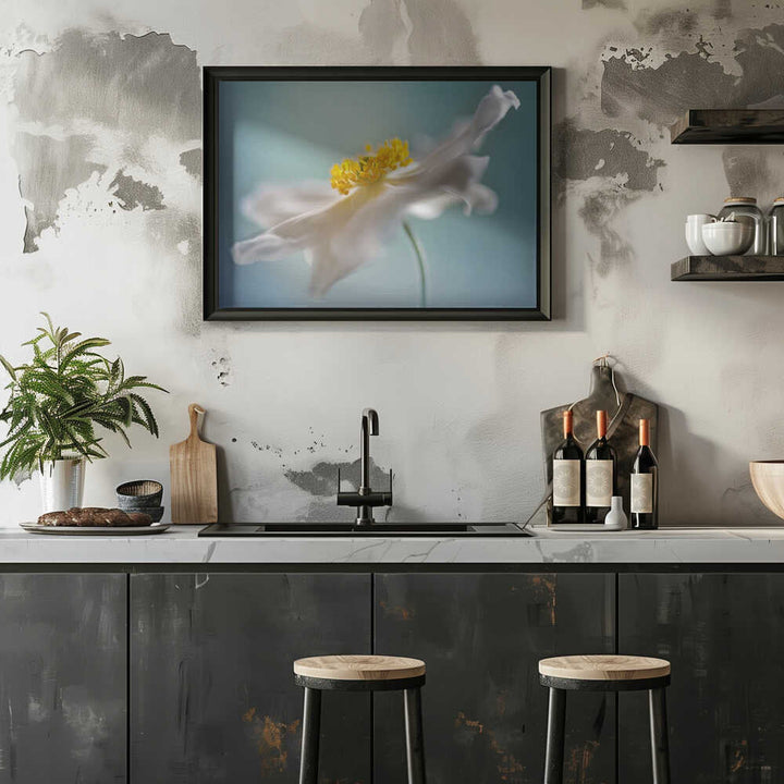 Serene White Petal Bloom - Floral Photographic Stretched Canvas Poster or Fine Art Print
