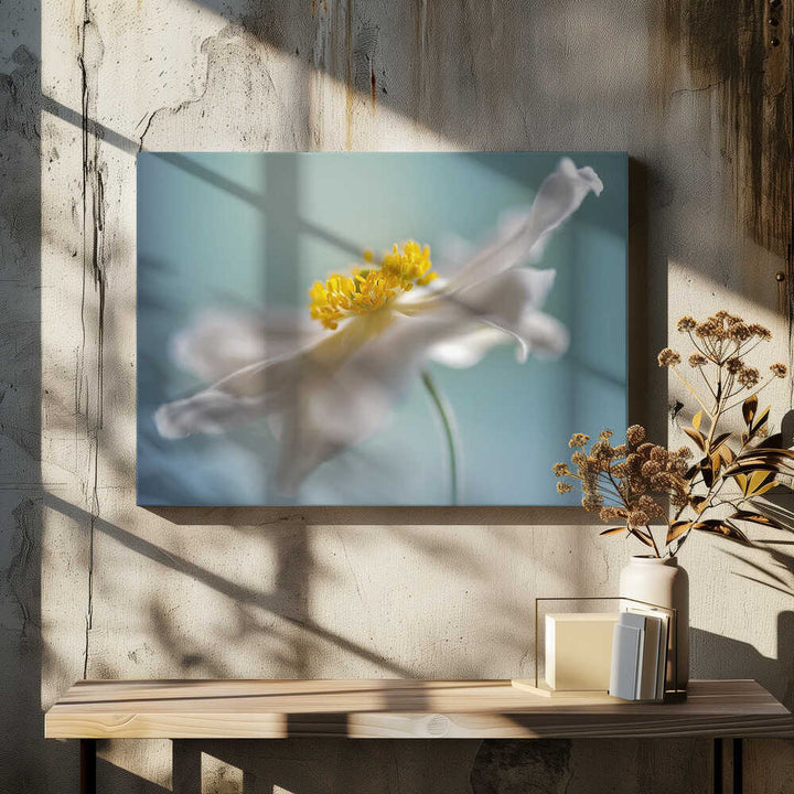 Serene White Petal Bloom - Floral Photographic Stretched Canvas Poster or Fine Art Print