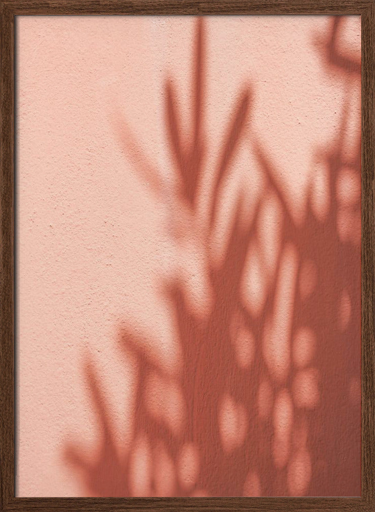 Shadows - Stretched Canvas, Poster or Fine Art Print I Heart Wall Art