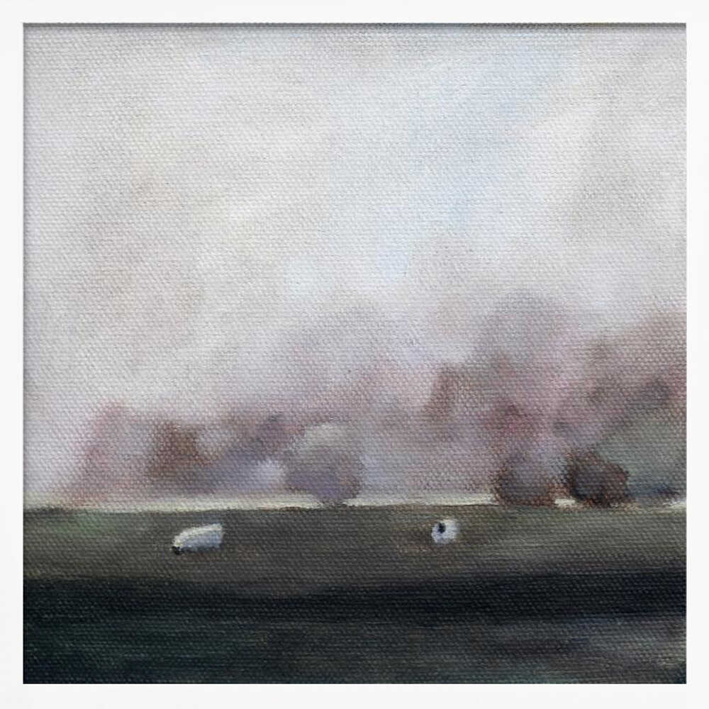 Sheep 15 - Square Stretched Canvas, Poster or Fine Art Print - I Heart Wall Art - Poster Print, Canvas Print or Framed Art Print