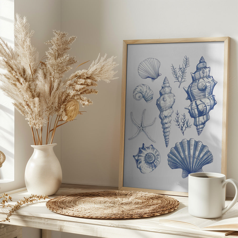 Shell Collage - Stretched Canvas, Poster or Fine Art Print I Heart Wall Art