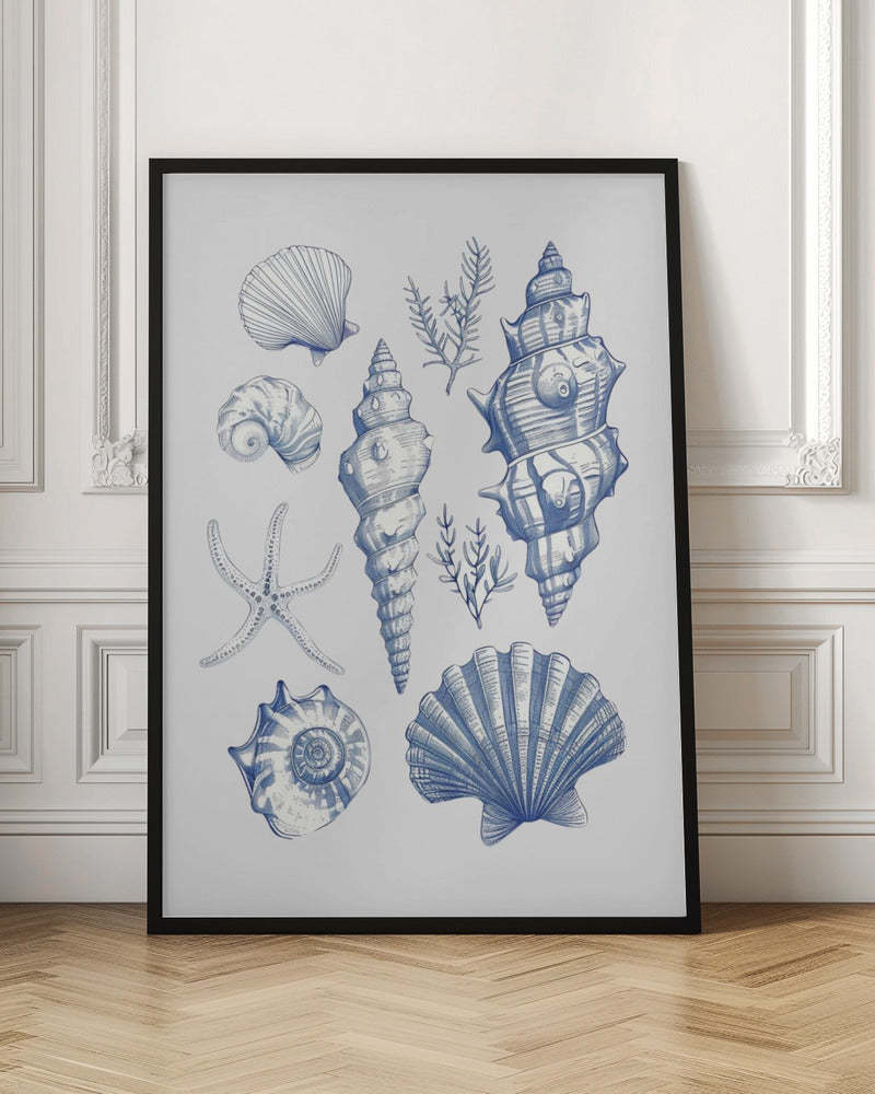 Shell Collage - Stretched Canvas, Poster or Fine Art Print I Heart Wall Art