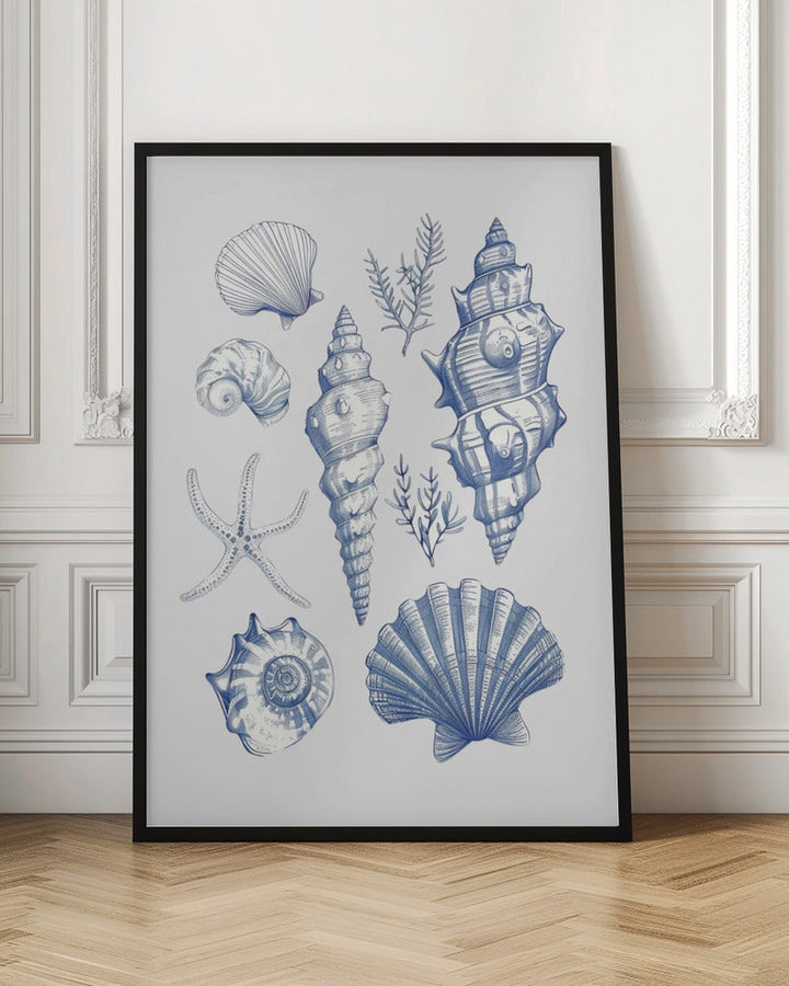 Shell Collage - Stretched Canvas, Poster or Fine Art Print I Heart Wall Art