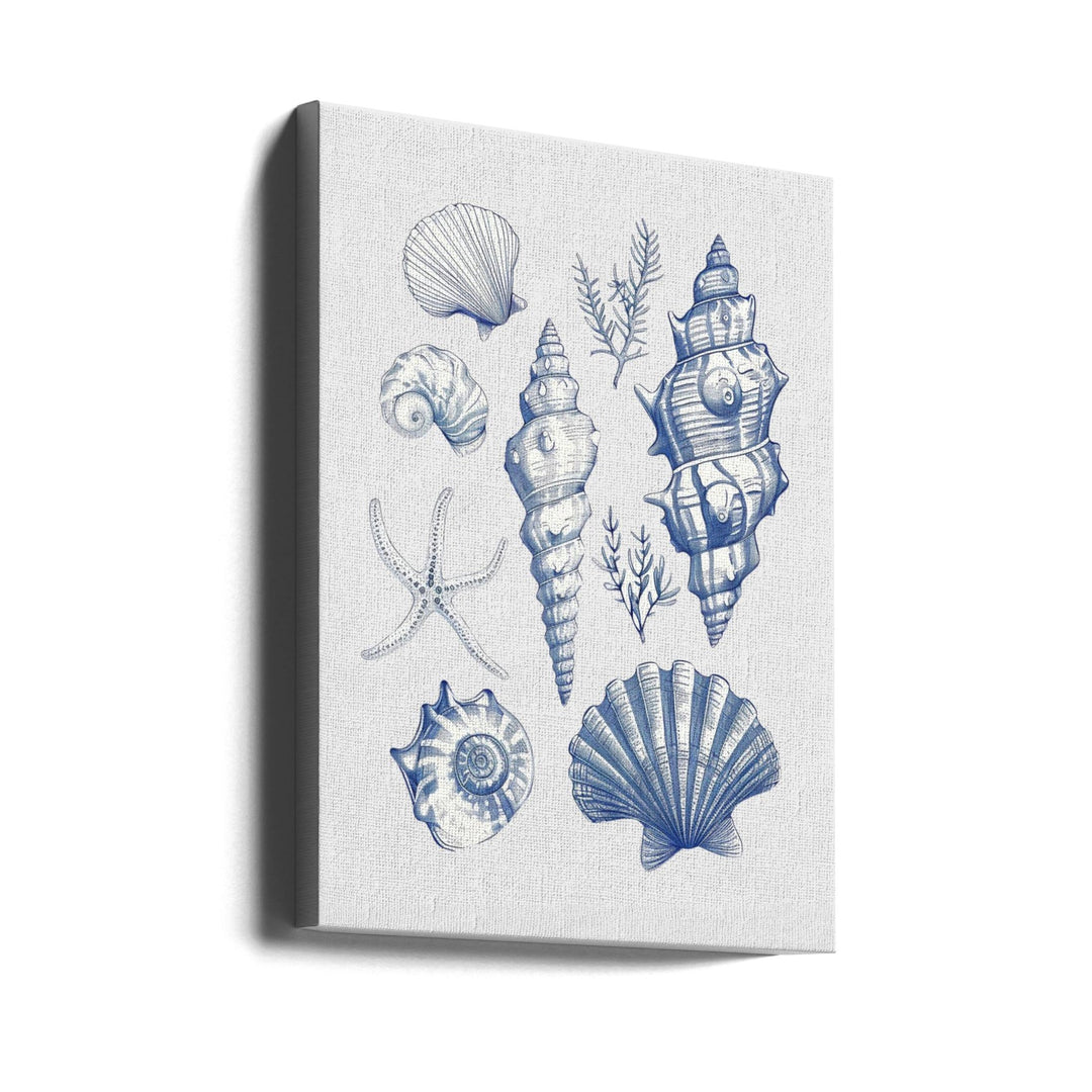 Shell Collage - Stretched Canvas, Poster or Fine Art Print I Heart Wall Art