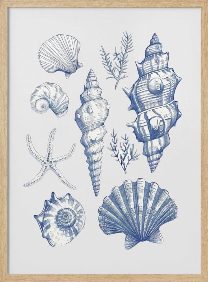 Shell Collage - Stretched Canvas, Poster or Fine Art Print I Heart Wall Art