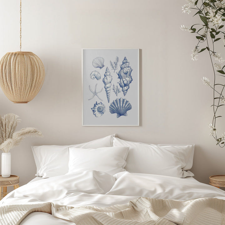 Shell Collage - Stretched Canvas, Poster or Fine Art Print I Heart Wall Art