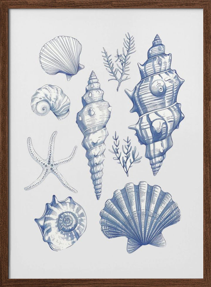 Shell Collage - Stretched Canvas, Poster or Fine Art Print I Heart Wall Art