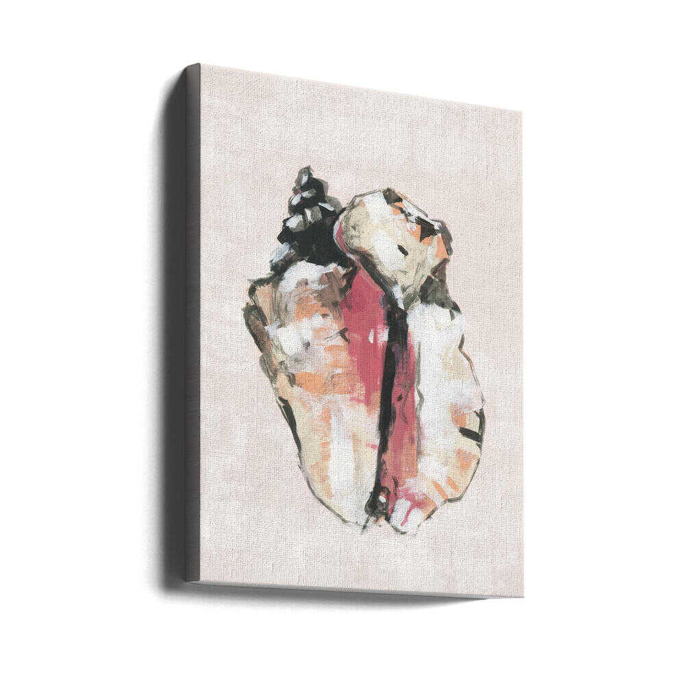 Shell Collector Art Print No 1 - Stretched Canvas, Poster or Fine Art Print - I Heart Wall Art - Poster Print, Canvas Print or Framed Art Print