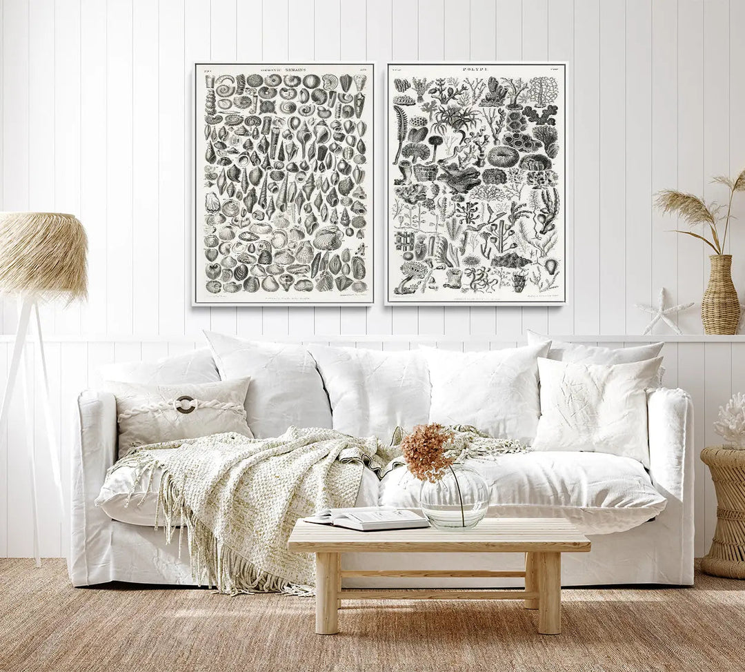 White upholstered sofa with fringed beige throw and pillows beside shells and coral two piece black and white print set