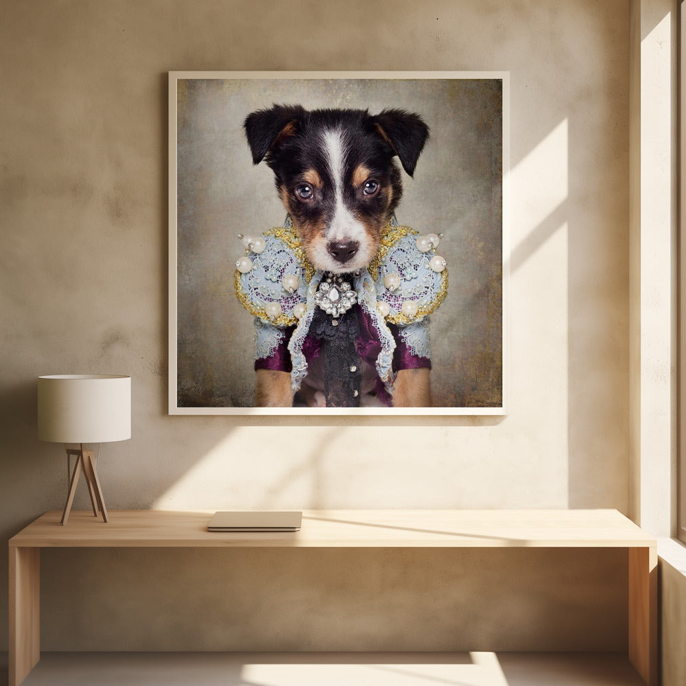 Shelter Pets Project - Loki - Stretched Canvas, Poster or Fine Art Print I Heart Wall Art