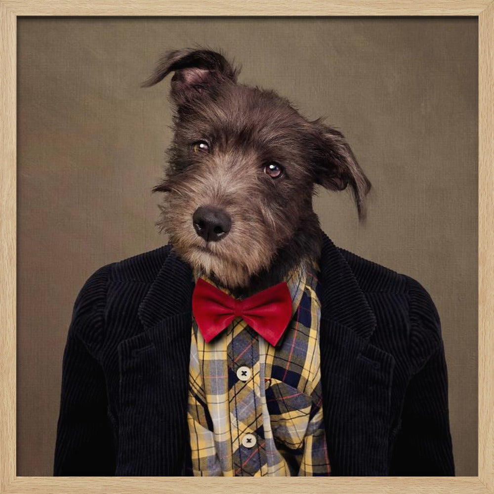 Shelter Pets Project - Ombré - Square Stretched Canvas, Poster or Fine Art Print I Heart Wall Art