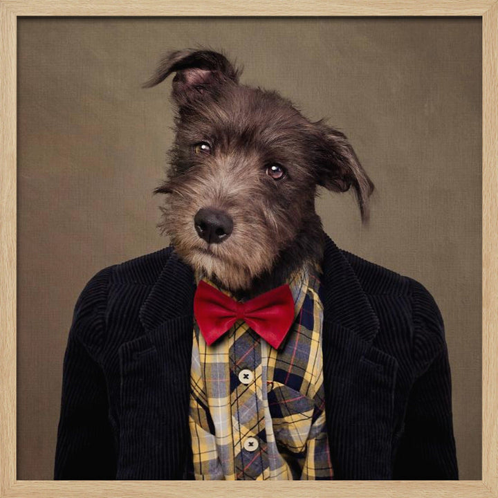 Shelter Pets Project - Ombré - Square Stretched Canvas, Poster or Fine Art Print I Heart Wall Art