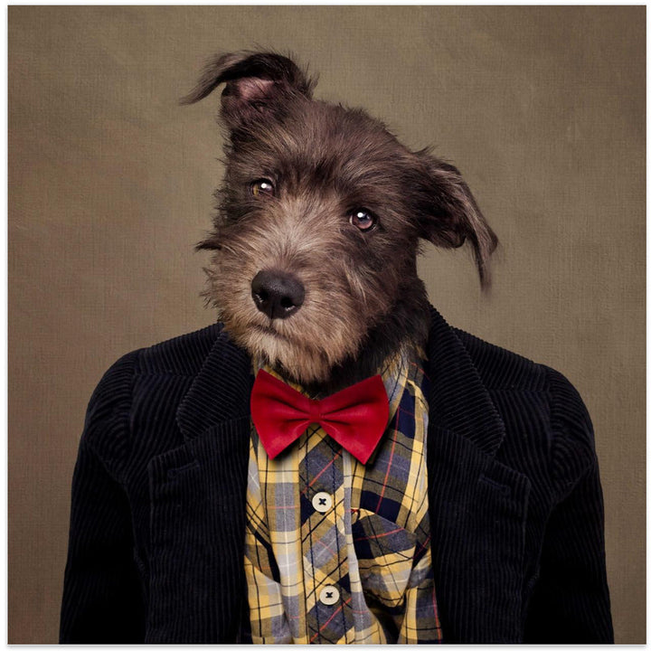 Shelter Pets Project - Ombré - Square Stretched Canvas, Poster or Fine Art Print I Heart Wall Art