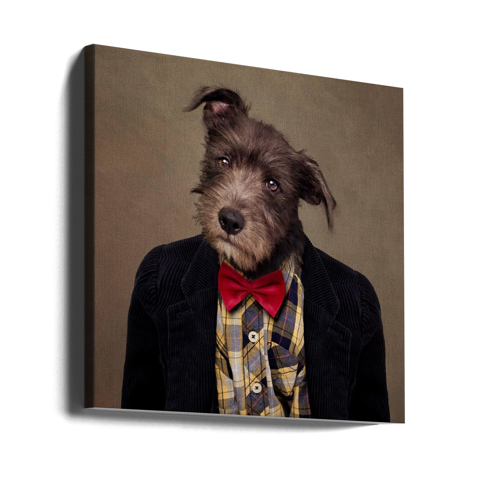 Shelter Pets Project - Ombré - Square Stretched Canvas, Poster or Fine Art Print I Heart Wall Art