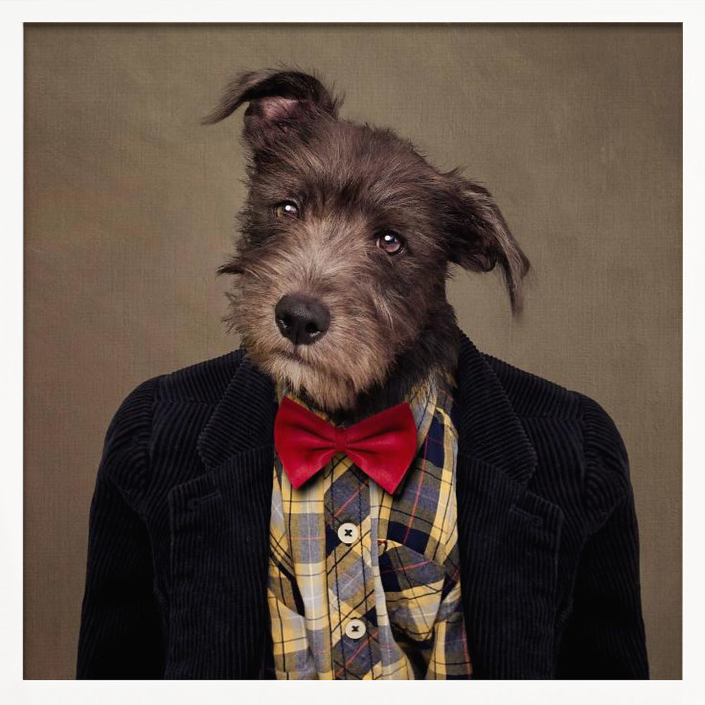Shelter Pets Project - Ombré - Square Stretched Canvas, Poster or Fine Art Print I Heart Wall Art