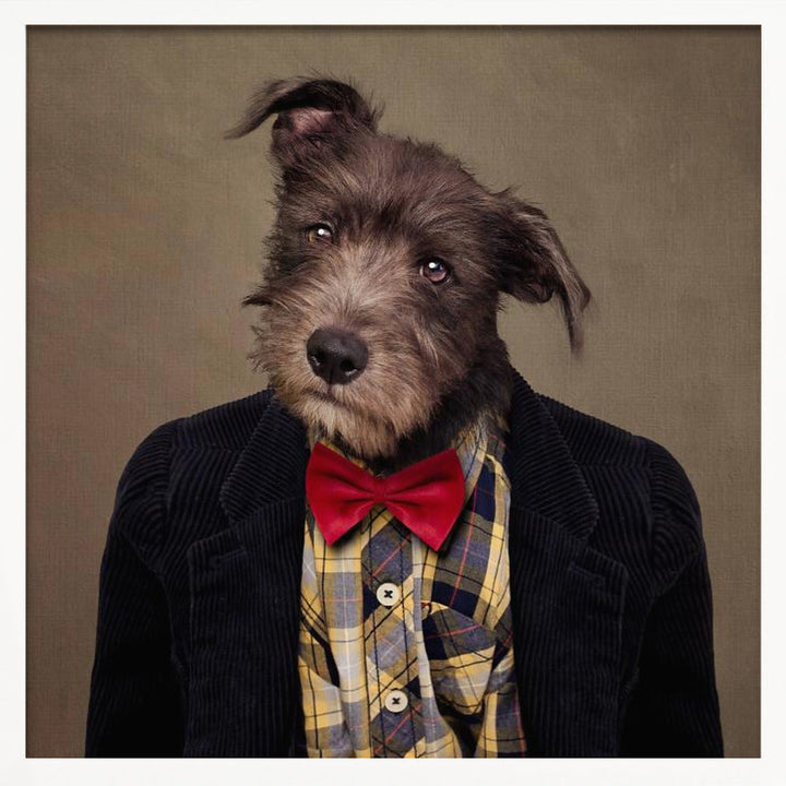 Shelter Pets Project - Ombré - Square Stretched Canvas, Poster or Fine Art Print I Heart Wall Art