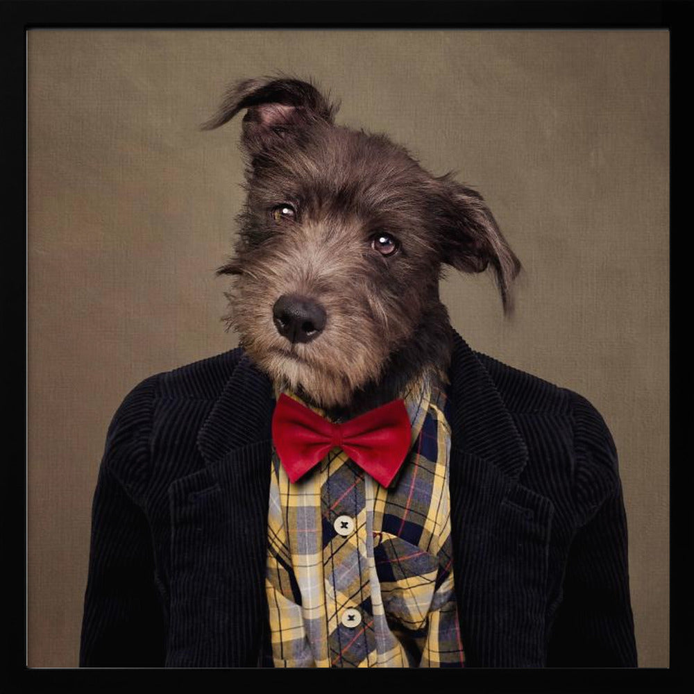 Shelter Pets Project - Ombré - Square Stretched Canvas, Poster or Fine Art Print I Heart Wall Art