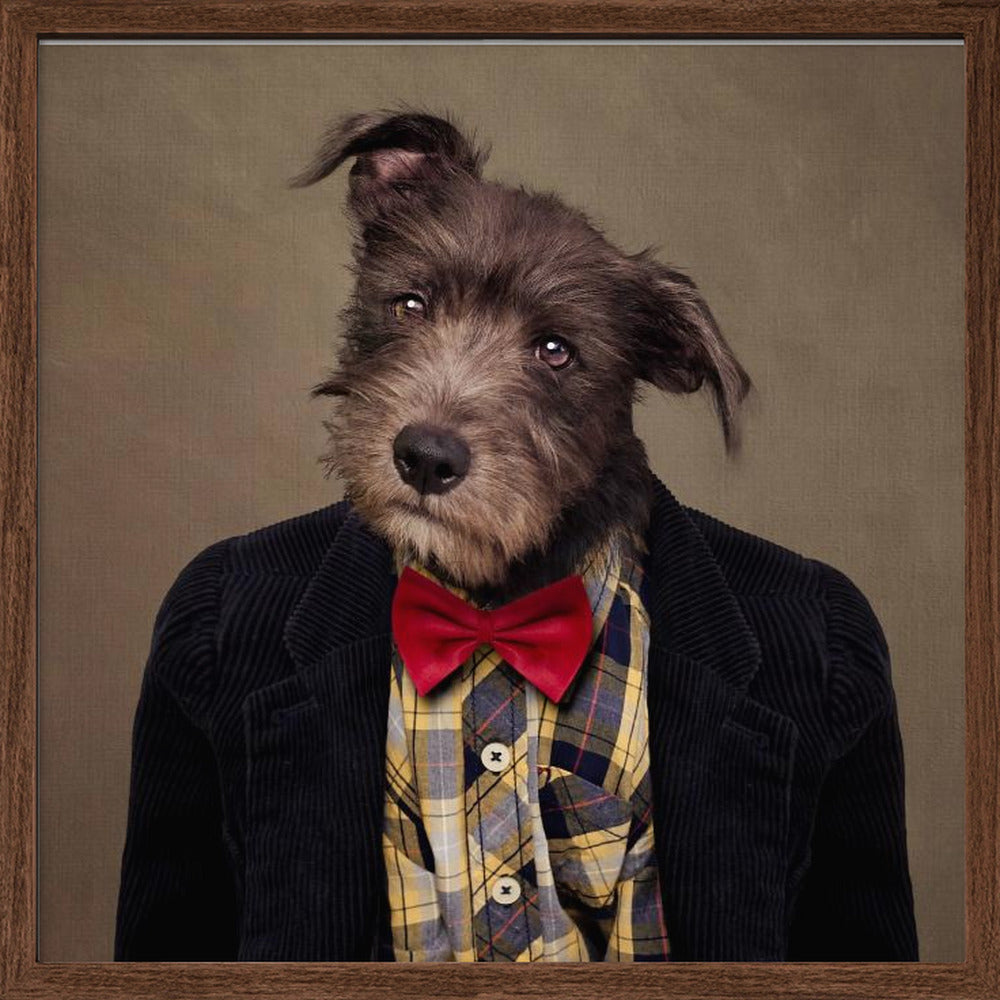 Shelter Pets Project - Ombré - Square Stretched Canvas, Poster or Fine Art Print I Heart Wall Art