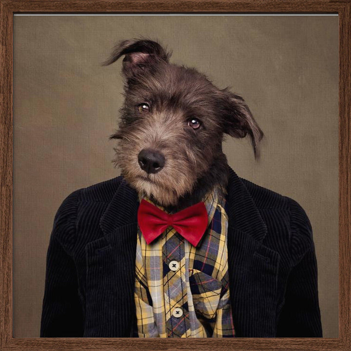 Shelter Pets Project - Ombré - Square Stretched Canvas, Poster or Fine Art Print I Heart Wall Art