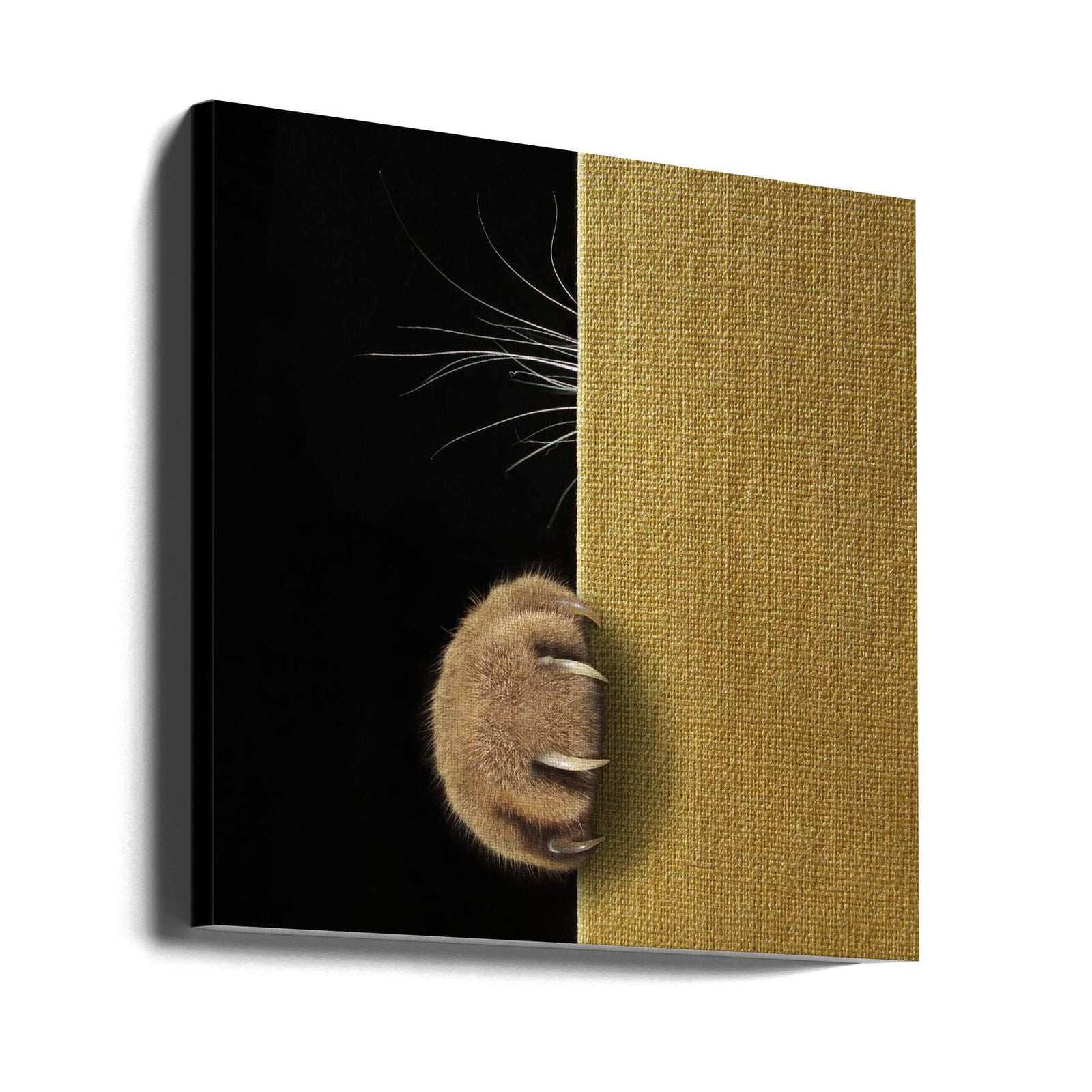 Shy cat ... - Square Stretched Canvas, Poster or Fine Art Print I Heart Wall Art