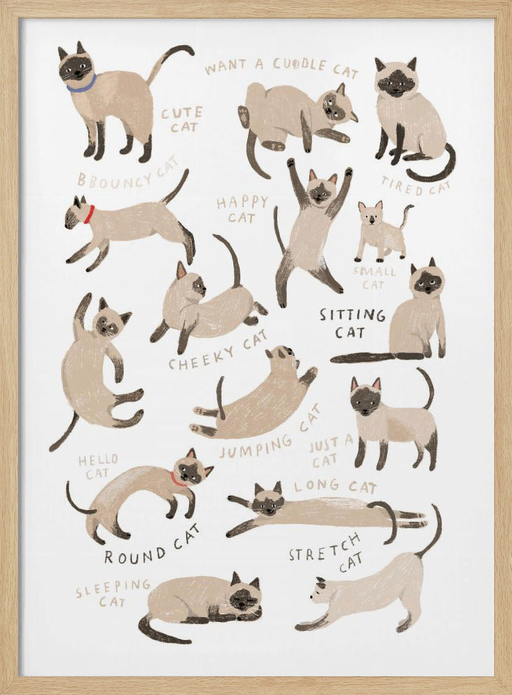 Siamese Cat Print - Stretched Canvas, Poster or Fine Art Print I Heart Wall Art