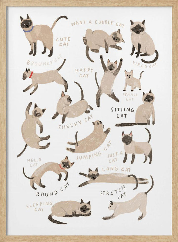 Siamese Cat Print - Stretched Canvas, Poster or Fine Art Print I Heart Wall Art