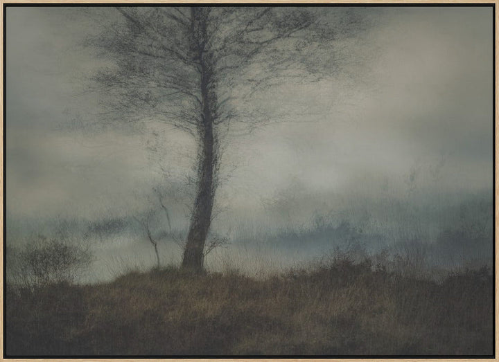 Silent - Stretched Canvas, Poster or Fine Art Print I Heart Wall Art