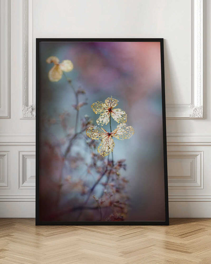 Simple Nature - Floral Photographic Stretched Canvas Poster or Fine Art Print