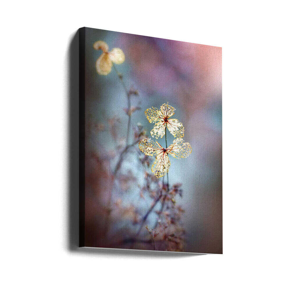 Simple Nature - Floral Photographic Stretched Canvas Poster or Fine Art Print