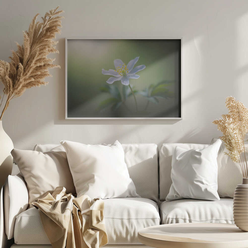 Simplicity - Floral Photographic Stretched Canvas Poster or Fine Art Print