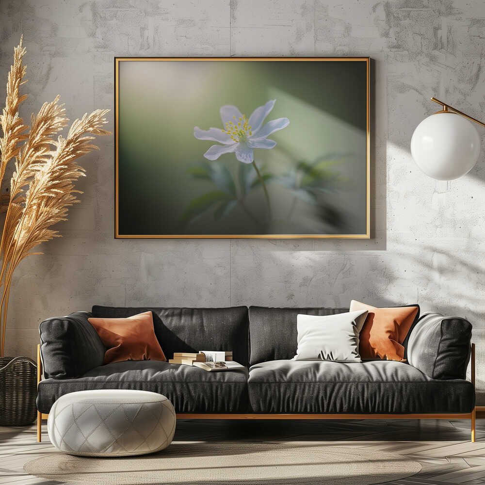 Simplicity - Floral Photographic Stretched Canvas Poster or Fine Art Print