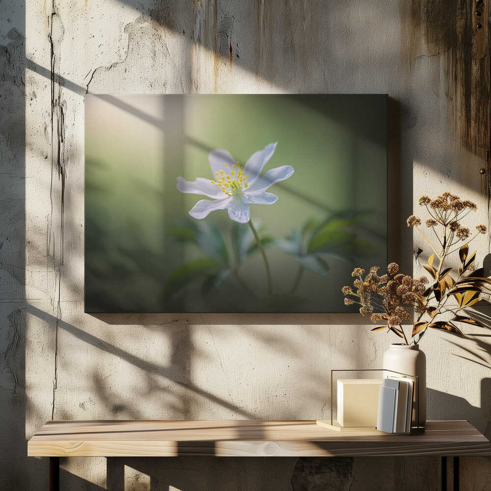 Simplicity - Floral Photographic Stretched Canvas Poster or Fine Art Print