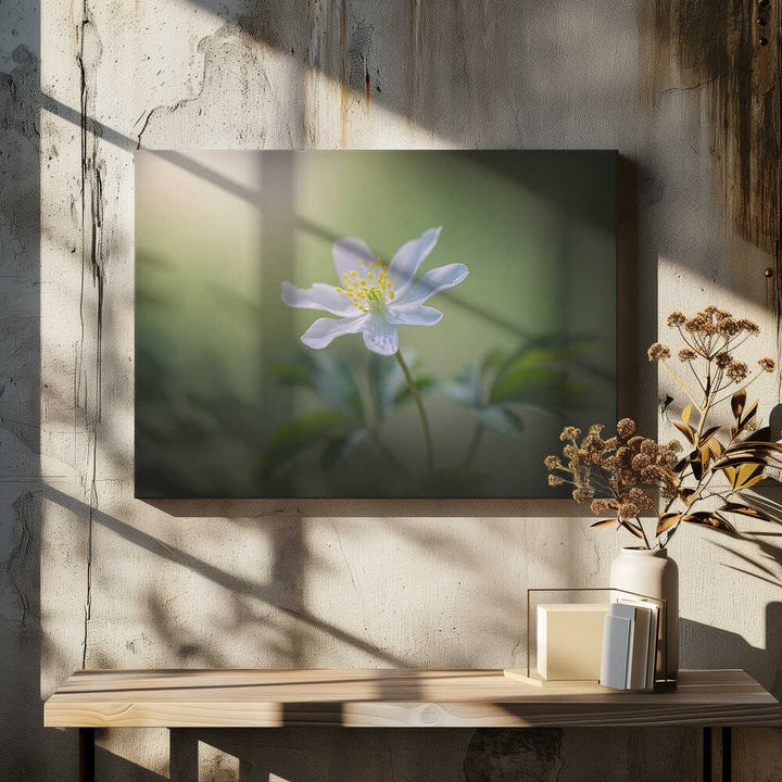 Simplicity - Floral Photographic Stretched Canvas Poster or Fine Art Print