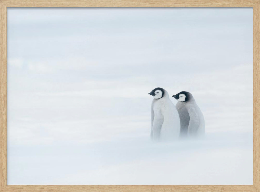 SISTER BOND UNDER THE WORST WEATHER II - Stretched Canvas, Poster or Fine Art Print I Heart Wall Art