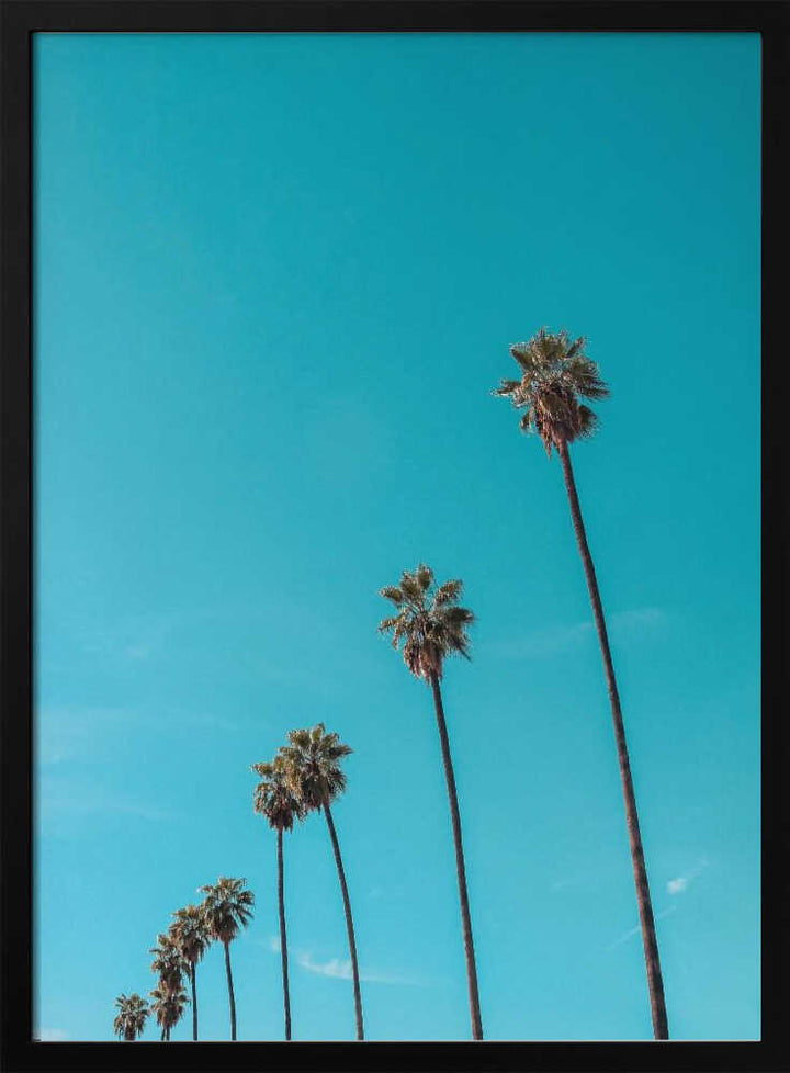 Skydusters - Stretched Canvas, Poster or Fine Art Print - I Heart Wall Art - Poster Print, Canvas Print or Framed Art Print